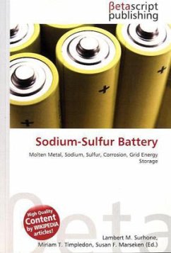 Sodium-Sulfur Battery