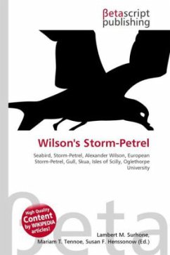 Wilson's Storm-Petrel