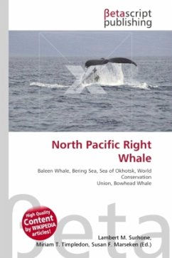 North Pacific Right Whale