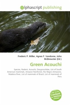 Green Acouchi