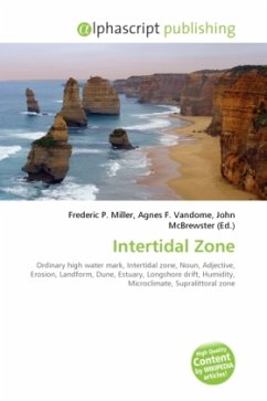 Intertidal Zone