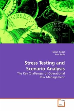 Stress Testing and Scenario Analysis - Rippel, Milan;Teply, Petr