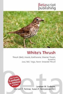 White's Thrush