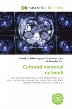 Cultured neuronal network