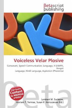 Voiceless Velar Plosive