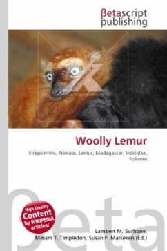 Woolly Lemur