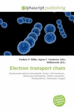 Electron transport chain