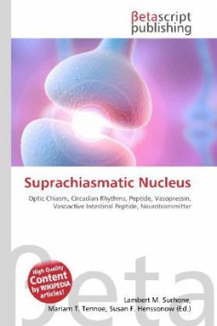 Suprachiasmatic Nucleus