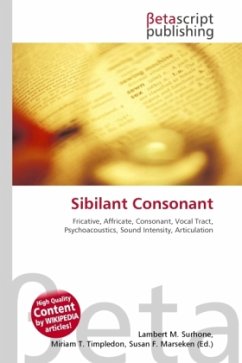 Sibilant Consonant