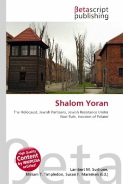 Shalom Yoran