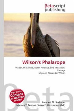 Cover Wilson's Phalarope