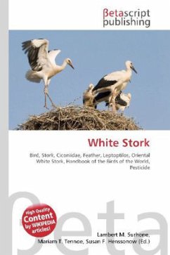 White Stork