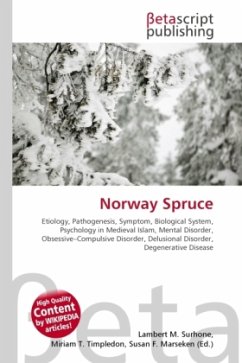 Norway Spruce