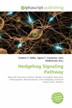 Hedgehog Signaling Pathway