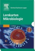 Lernkarten Mikrobiologie