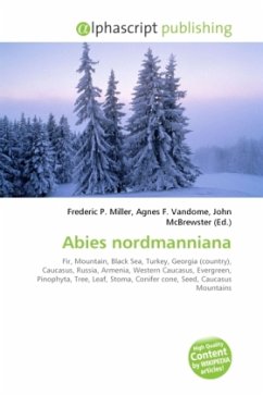 Abies nordmanniana