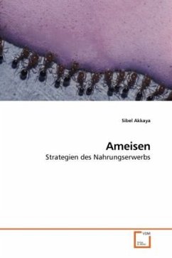 Ameisen - Akkaya, Sibel