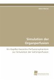 Simulation der Organperfusion