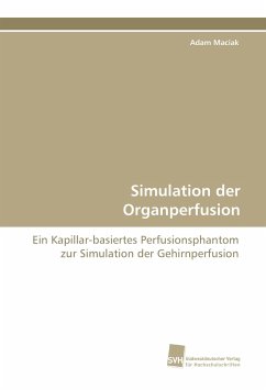 Simulation der Organperfusion - Maciak, Adam