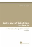 Scaling Laws of Optical Fibre Nonlinearity