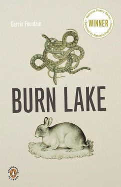 Burn Lake - Fountain, Carrie