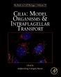Cilia: Model Organisms and... - Bild 1