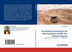 Uncertainty Assessment for the Evaluation of NPV of a Mineral Deposit