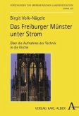 Das Freiburger Münster unter Strom