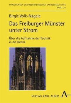 Das Freiburger Münster unter Strom - Volk-Nägele, Birgit