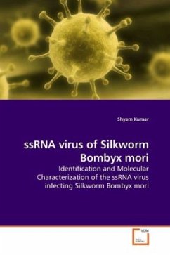 ssRNA virus of Silkworm Bombyx mori - Kumar, Shyam