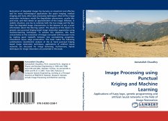 Image Processing using Punctual Kriging and Machine Learning