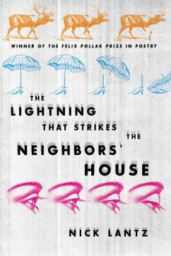 Lightning That Strikes the Neighbors' House - Lantz, Nick