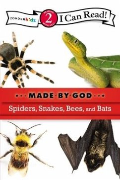 Spiders, Snakes, Bees, and Bats - Zondervan