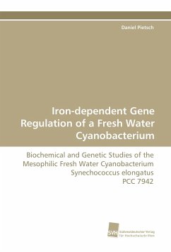 Iron-dependent Gene Regulation of a Fresh Water Cyanobacterium - Pietsch, Daniel