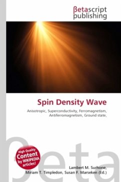Spin Density Wave
