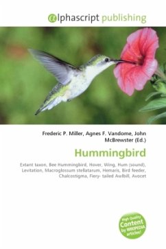 Hummingbird