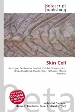 Skin Cell