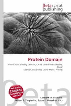 Protein Domain