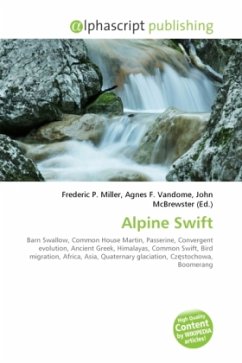 Alpine Swift