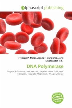 DNA Polymerase