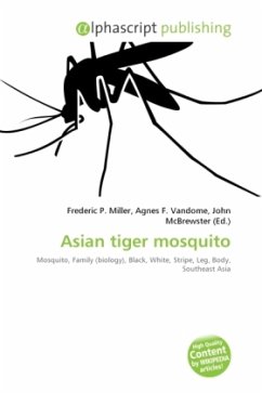 Asian tiger mosquito