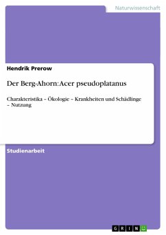 Der Berg-Ahorn: Acer pseudoplatanus - Prerow, Hendrik