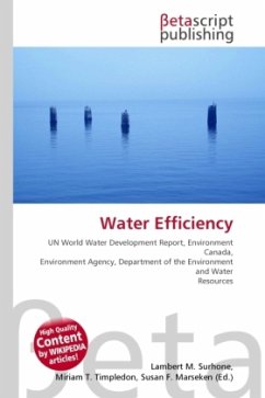 Water Efficiency