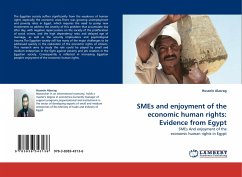 SMEs and enjoyment of the economic human rights: Evidence from Egypt