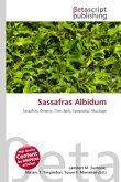 Sassafras Albidum