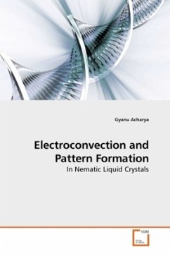 Electroconvection and Pattern Formation - Acharya, Gyanu