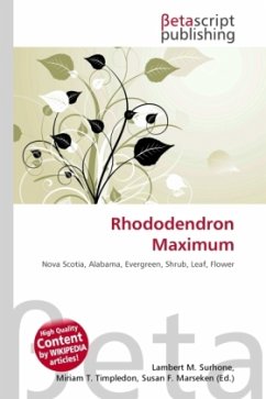 Rhododendron Maximum