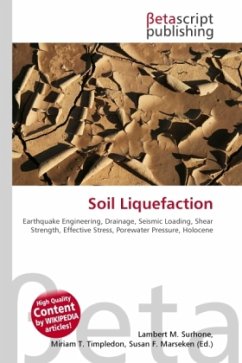 Cover Soil Liquefaction