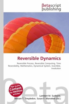 Reversible Dynamics