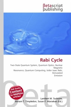 Rabi Cycle